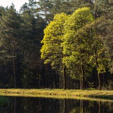 Schleusenhaltung Schleuse 50 (Ludwig-Donau-Main-Kanal)