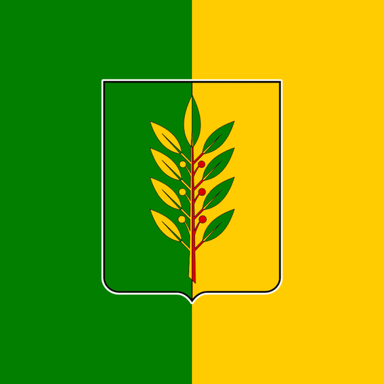 Municipal Formation of the City of Slavgorod