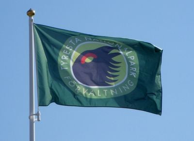Flag 1