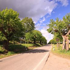 Lindenallee