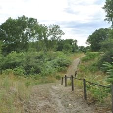 Riserva naturale orientata dune fossili di Massenzatica
