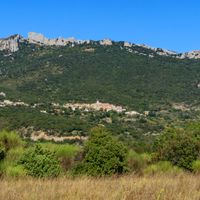 Duilhac-sous-Peyrepertuse