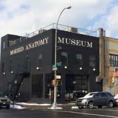 Morbid Anatomy Museum