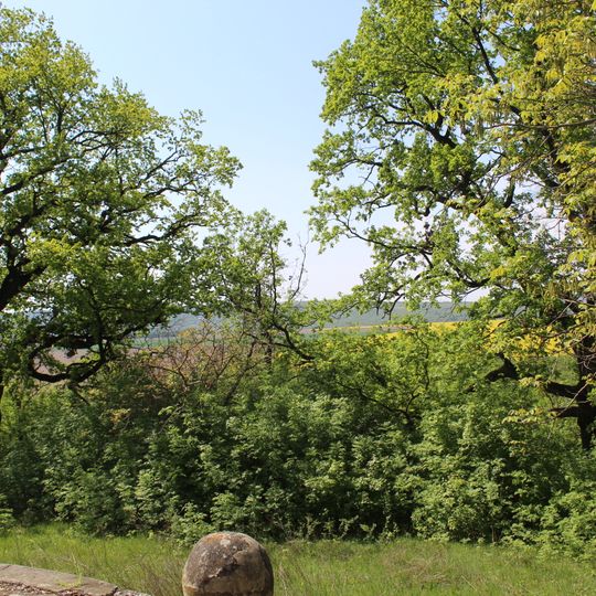 Dzvenyhorod Oaks