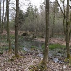 Feuchtgebiet Gemeindeholz