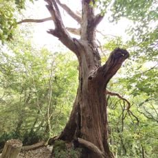 Monumento naturale Valle delle Cannuccete