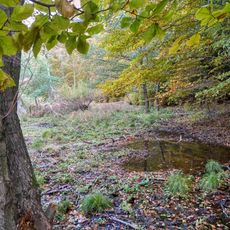 Strošovský močiar