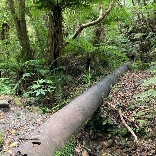 Ross Water Race Walkway