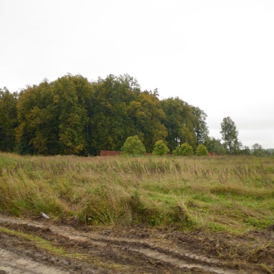 Усадьба Левашовых