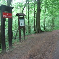 Nature reserve Łęg nad Swelinią