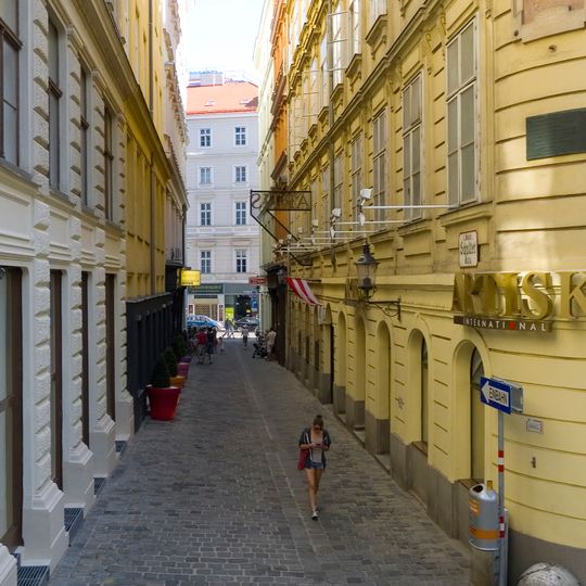 Artis International Kino