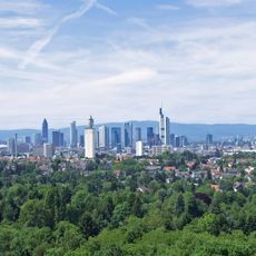 Frankfurt City Forest