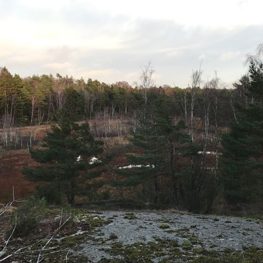 Sandsjöbacka naturreservat, Västra Götalands län