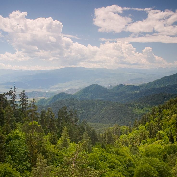 Borjomi-Kharagauli nationalpark