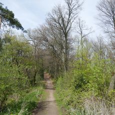 Bielefelder Osning