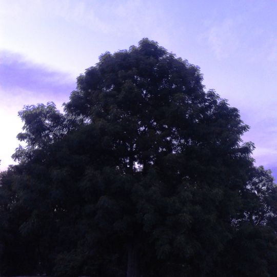 Остатки Никольского бастиона — «Веселая горка»