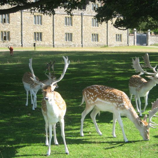 Knole Park