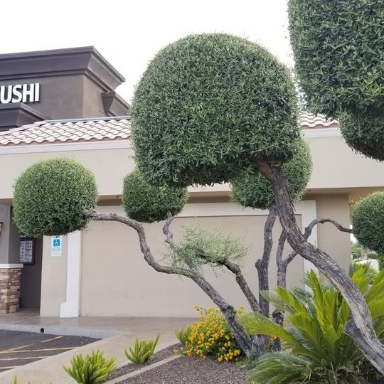 Akita Sushi