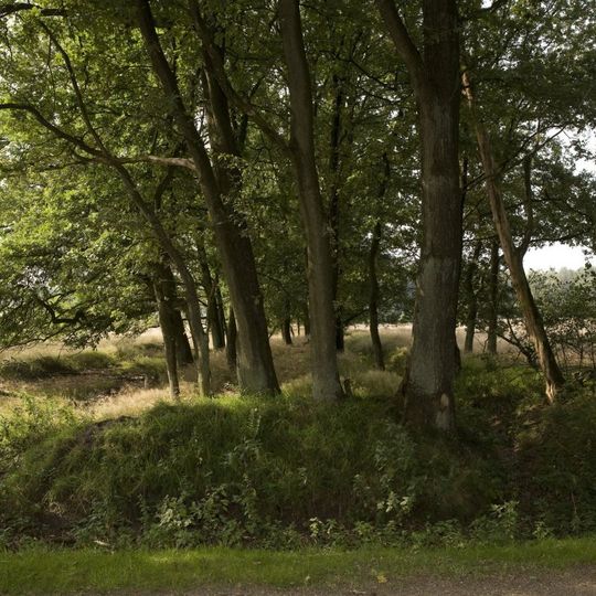 Grafheuvels 45791, Elsen