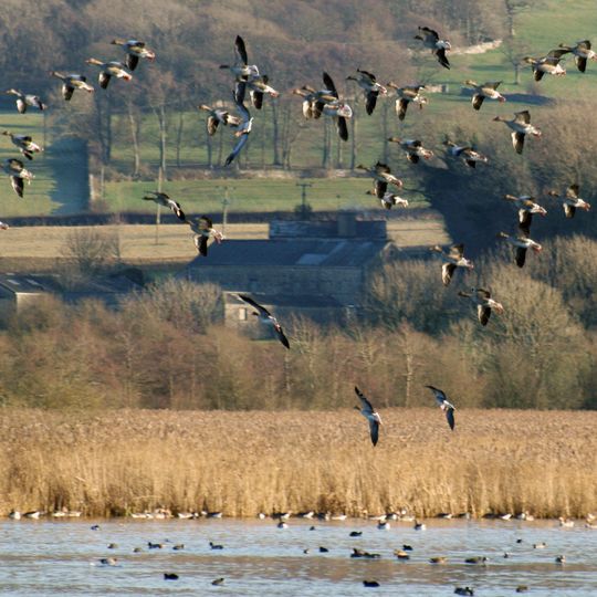 Leighton Moss RSPB reserve
