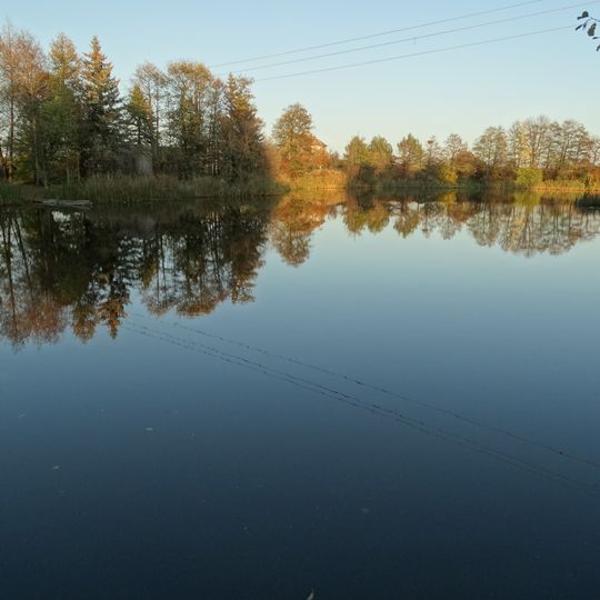 Netičkampio tvenkinys