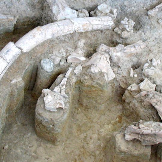 Torralba and Ambrona