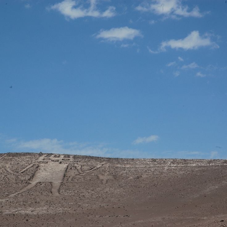 The Atacama Giant