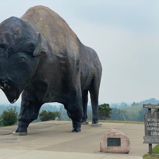 World's Largest Buffalo