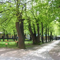 Maria Magdalena cemetery