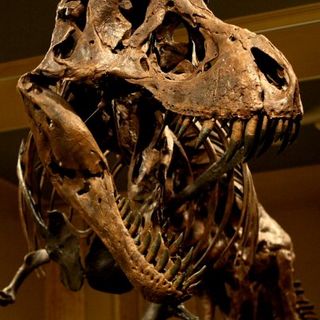 Museu da Descoberta de Dinossauros