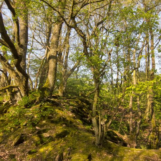 Ebental bei Rüdesheim