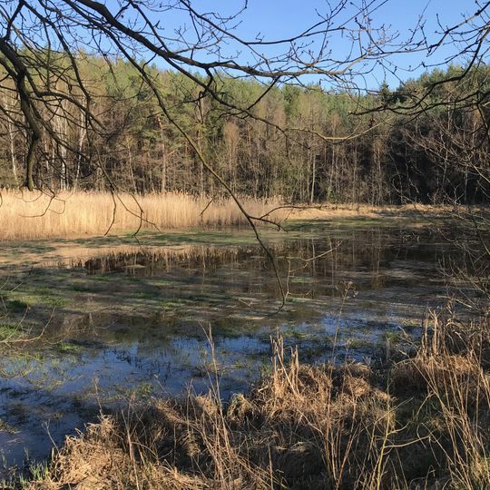 Loučeňské rybníčky