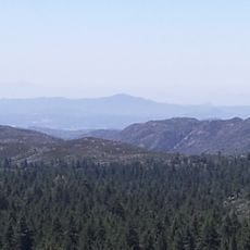 Cleveland National Forest