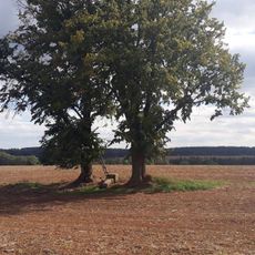 Kříž nad Bdeněvsí v poli