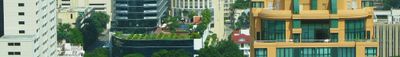 Panoramic View 0