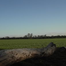 Aberford Dykes