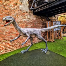 Coelophysis