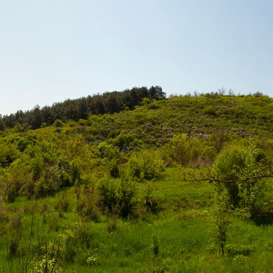 Mychajlopol's'kyj botanical natural monument