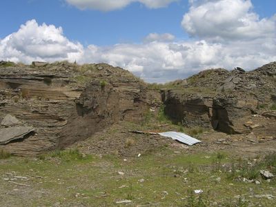 Immagine alternativa