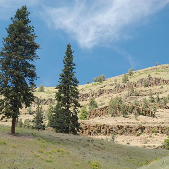 Bridge Creek Wildlife Area