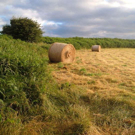 Hillfort and two bowl barrows at Halwell Camp