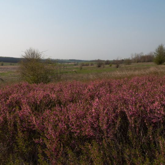 Zhytlova balka botanical reserve