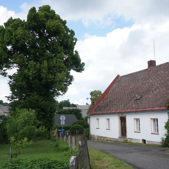 Lípa na křižovatce