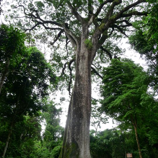 Vassununga State Park