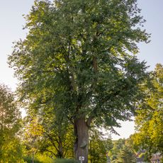 Lípa ve Střezimíři