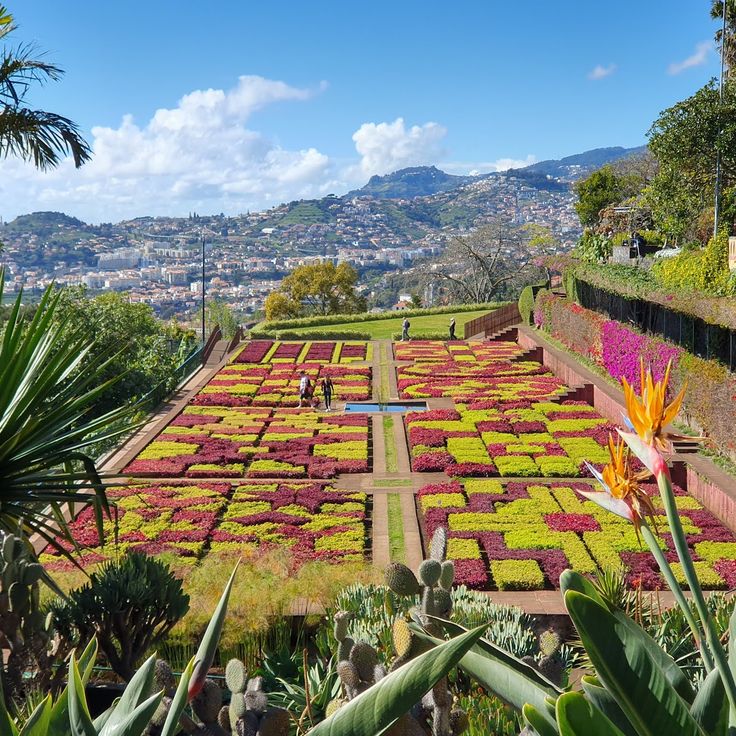 Jardín Botánico de Madeira