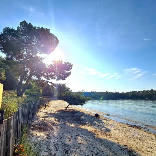 Plage de Léoube