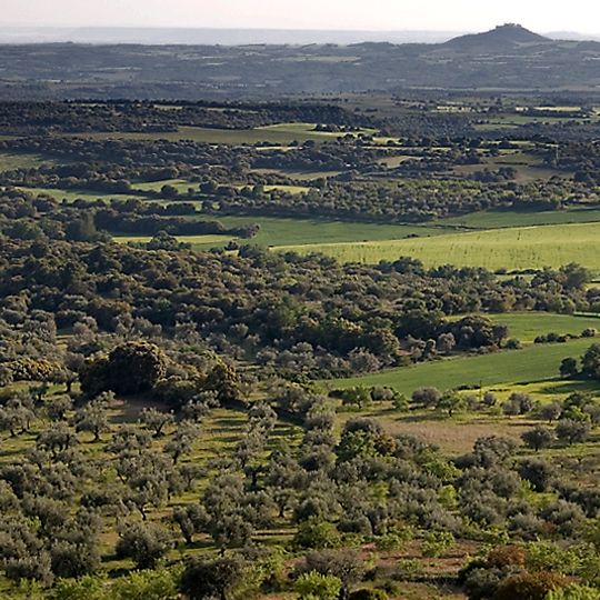 Somontano de Barbastro