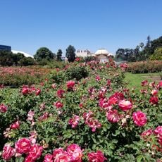 Exposition Park Rose Garden