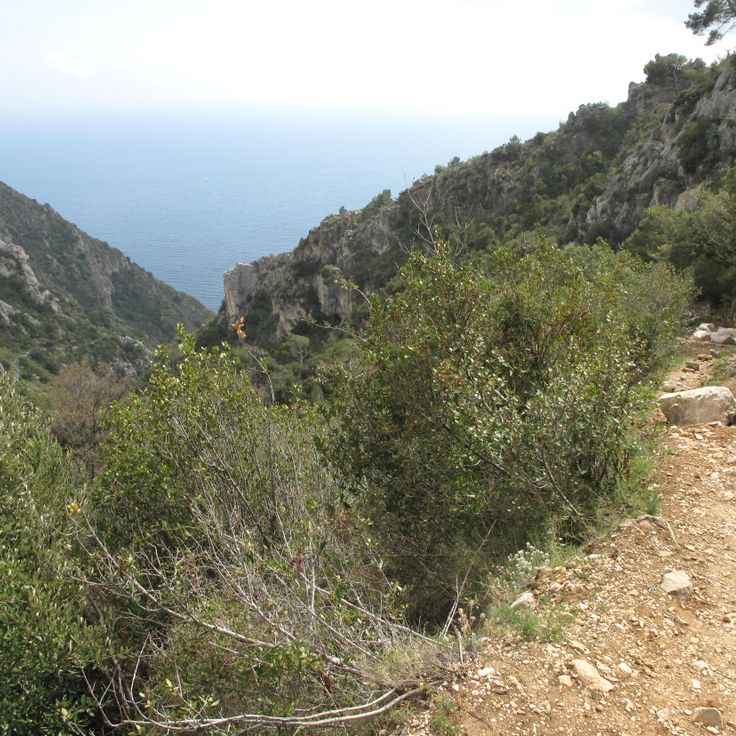 Sentiero di Nietzsche